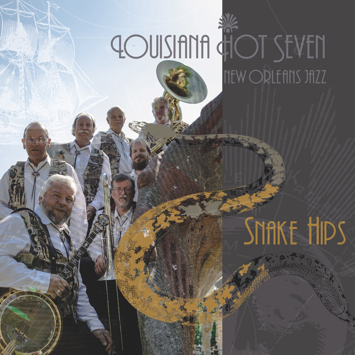 Cover: Snake Hips